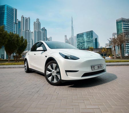 Tesla Model Y Long Range 2022