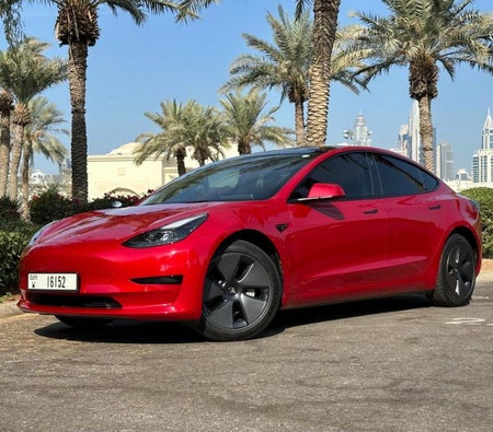 Tesla Model 3 Standard Plus 2023
