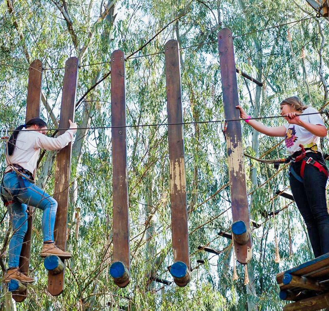 Acrobranch Adventure Park Modderfontein