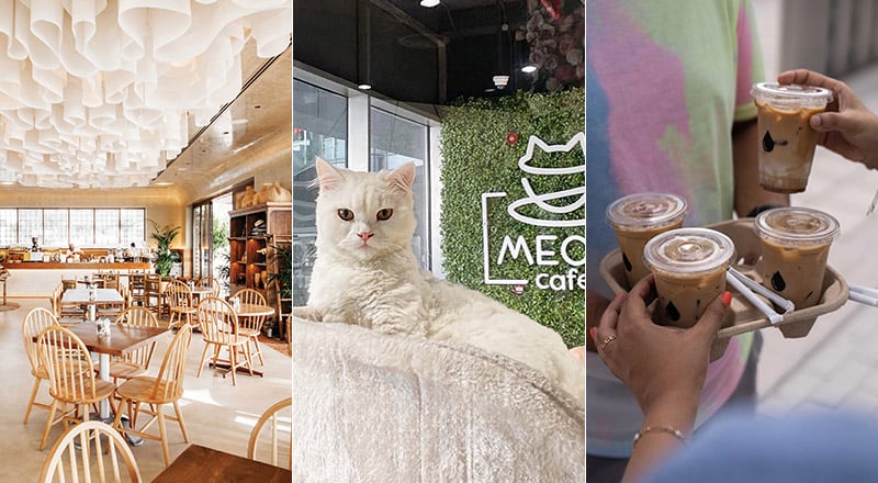 20 amazing spots to visit in Abu Dhabi for International Coffee Day
