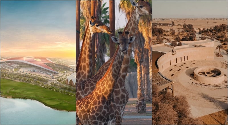 Your complete guide to getting around the UAE on Etihad Rail