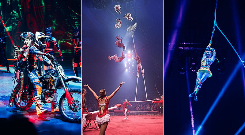 Popular circus show Pluma returns to Dubai this September with fresh thrills